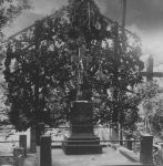 Торжества по случаю открытия памятника Э. Ожешко, 1929 год