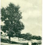 Берег Немана. Конец 19-го, нач. 20-го века
