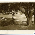 Вид на замки от Коложи. 30-е годы